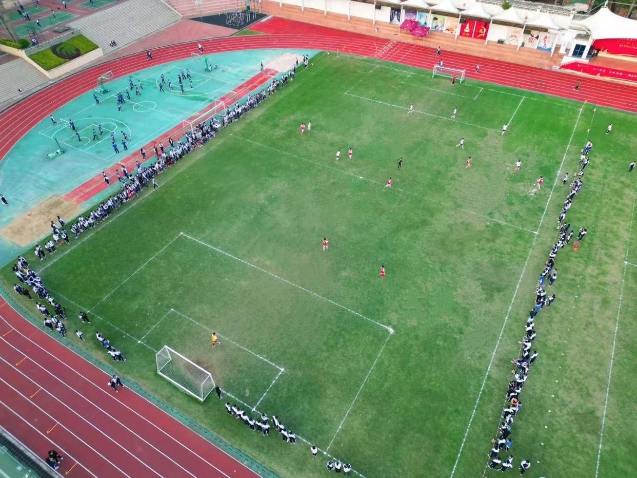 包含足球赛场：精彩纷呈，悬念重重！的词条