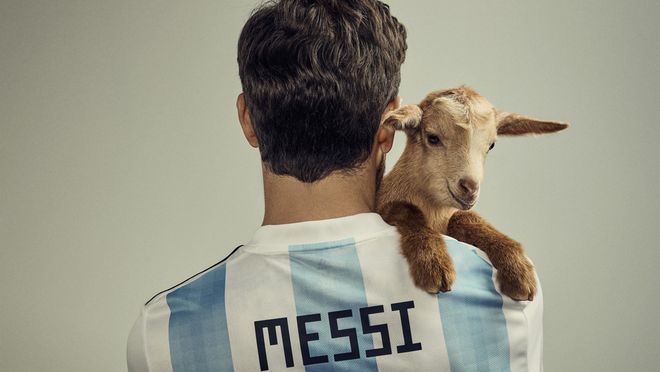 委内瑞拉队长赛季休养，期待明年重返赛场的简单介绍